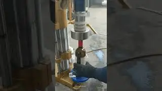 Red wine bottle cork cap sealing machine sealing video