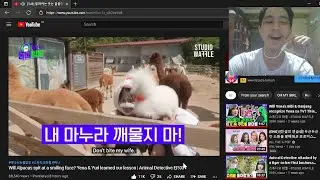 YULYEN FOREVER!  | Animal Detective EP.03 REACTION