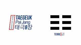 TAEGEUK 8 : PAL JANG - 태극 8장 Master Kim Taekwondo Belgium