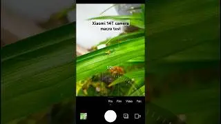 Xiaomi 14T camera #macro #photography #xiaomi14t #leica #android