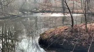 Wyspa Bolko - Opole