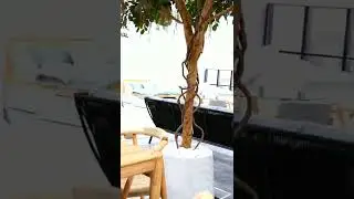B2C Furniture store showroom Alexandria Sydney