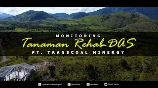 MONITORING TANAMAN REHAB DAS PT  TRANSCOAL MINERGY - DISHUT KALSEL