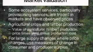 Valuing nature: Incorporating ecosystem services into decision making