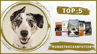 Das Beste 🔥 Trockenfutter f&uuml;r Ihren Hund 🐶 TOP-5