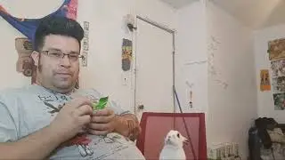 me and mrbuttons share a oatmeal bar