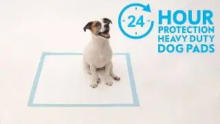 Disposable Dog Pads | Paw Inspired&reg; 24 Hour Protection Heavy Duty Puppy Pads