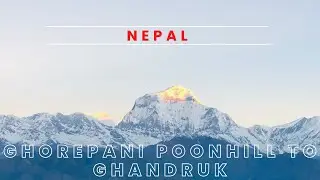 Trek to Ghorepani-PoonHill-Tadapani & Ghandruk | Nepal 2022