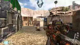 P4L-2DVS - Black Ops II Game Clip