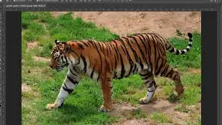 GD1/Photoshop: Part 2/Finding Photos to Use