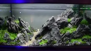Aquascaping-Wettbewerb XL Tierwelt Magdeburg 2017