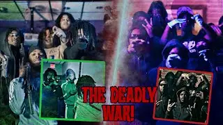 TOLEDO’S GANG WAR: DBN VS GBG/BODYUP