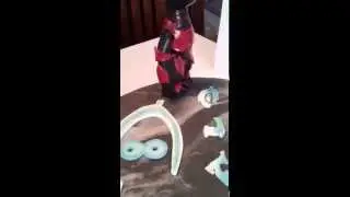 Halo cake
