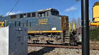 CSX 3442 leads coal empties.