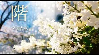 階ーきざはしー