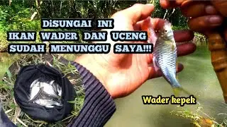 JOGJA ISTIMEWA!! MANCING DISUNGAI JOGJA YANG SATU INI IKAN NGGAK ADA HABISNYA!! MICRO FISHING