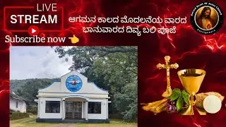 Live Sunday mass in St Jude church Javali