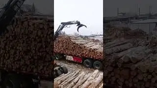 JINGGONG 95Z Timber Grab｜On-site Wood Handling, Efficient & Stable Grip