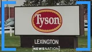 Feds should hold Tyson accountable for Nebraska layoffs: Senate candidate  | Morning in America