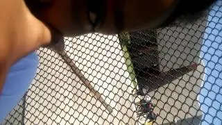 Brabbit Non-dank friends shootouts