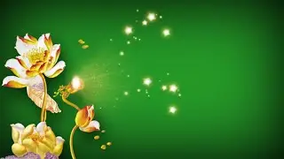 Golden flower green screen | flower effect green screen video | light green screen effects