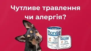 Алергія на корм? Рішення для чутливого травлення — Monge Monoprotein