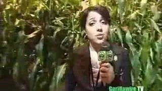 Gorillawire TV :: Episode 2