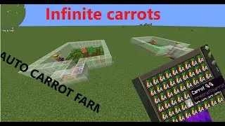 How to build a automatic carrot farm *CRAZY*