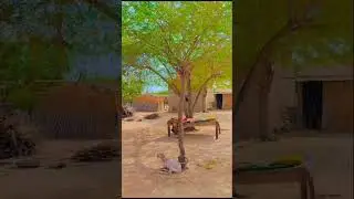 kadan walso sohna sanwla Sarikie song