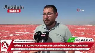 G&uuml;neşte Kuruyan Domatesler D&uuml;nya Sofralarında 