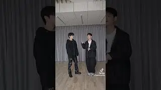 um videozinho de um cachorrinho e seu mini amigo #fykpop #straykids #shortsvideo