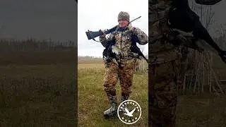 Самая крутая охота на тетерева #hunter #hunting #охота #охотник #hunt #gunshorts #blackgrouse