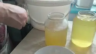 Мій яблучний оцет 