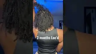 3 months Micro Starter locs on 4c hair #microlocs #starterlocs #4chair #retie #diystarterlocs