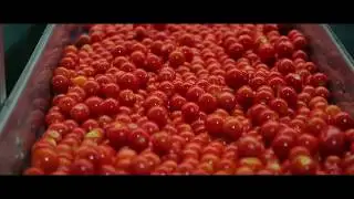 SCZone Launch Video