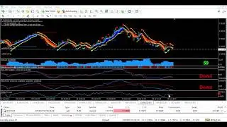 Forex Wealth Strategy $650.36 Live Trade Toshko Raychev