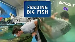 Feeding BIG FISH Goes Wrong | Boat FAILS Caught On Camera | Episode XX