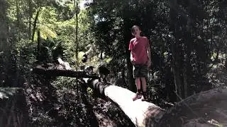 Scary Log Crossing
