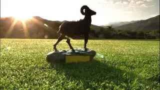 Выше номинала Pilot Bighorn Golf Club