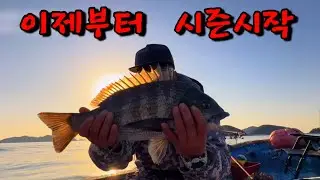여기는 이제부터 시즌시작 입니다!! 올해는 많이 늦네요! (덴마 감성돔 낚시)