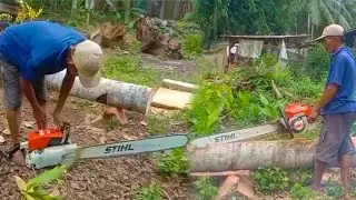 PROCESSING AND WOODWORKING MAKING BEAM FROM COCONUT WOOD