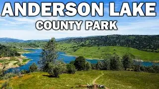 Hiking Anderson Lake County Park | Bay Area Hiking Trails