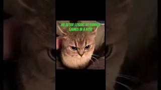 #meme #memes #shorts #videogames #gaming #cats #cute #funny #games #ranked #animals