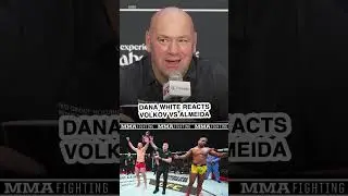 Dana White 'very happy' with judges in Volkov vs. Almeida fight at UFC 321 | MMA Fighting