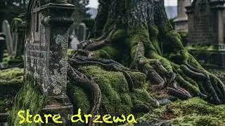 Stare Drzewa | Hardcore Punk | Surowy Polski HC
