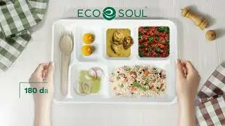Eco-Smart Solutions: Bagasse Meal Tray - On-the-Go meal trays -  Best meal trays for travel