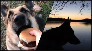 Odin gets a Burger, plus a Beautiful Sunset