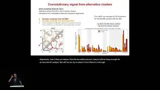 Evolutionary constraints guide AlphaFold2 in... - Francesca Cuturello - MLCSB - ISMB/ECCB 2025