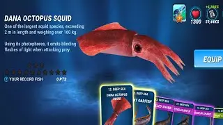 New Legendary Fish: Dana Octopus Squid - Fishing Clash Gameplay Ep211