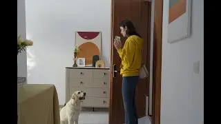 dokoo Pet Camera - Dog Savior